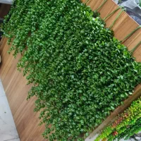 شمشاد آویز     .حراجی.