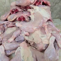 بیخص کار مرغ حرفه ای نیازمندیم قصاب