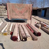 قالیشویی طوس