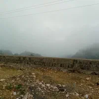 لیدرمحلی|فعالیت داوطلبانه تحقیقاتی|تهران, زعفرانیه|دیوار