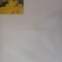 بوم نقاشی ۵۰ ×۷۰