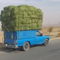 یونجا|لوازم جانبی حیوانات|پارسآباد, |دیوار