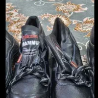 کفش ایمنی نو نو اصلی|کیف، کفش، کمربند|شهرکرد, |دیوار