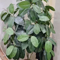 درختچه مصنوعی