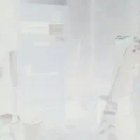 همخونه.