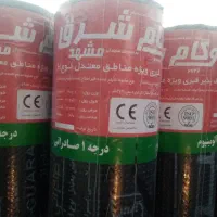 ایزوگام