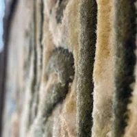 تابلو فرش دستباف و ان یکاد برجسته|تابلو فرش|تنکابن, |دیوار