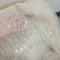 پارچه مجلسی سنگ دوزی شده|لوازم خیاطی و بافتنی|کوهسار (البرز), |دیوار