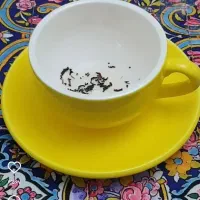 کتاب فال قهوه تاروت سرنوشت