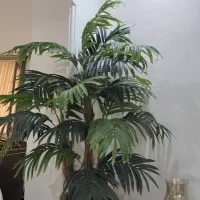 درختچه مصنوعی کنتیا سه تنه به همراه گلدان وارداتی|گل مصنوعی|بابل, |دیوار