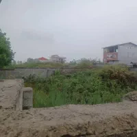 زمین ویلایی ۲۰۲ متری درساحل ویزنه قره سو