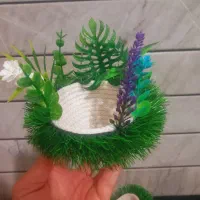 سیره|پرنده|خمینیشهر, |دیوار