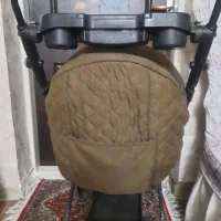 کالسکه دلیجان|کالسکه و لوازم جانبی|تبریز, |دیوار