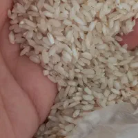 برنج عنبربو خوزستان|خوردنی و آشامیدنی|تهران, مختاری|دیوار