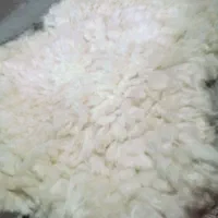 به قیمت۵۰۰۰۰۰