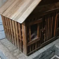 پارک سگ یا خانه سگ