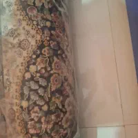 فرش ۱۲ متری زرین شاه پری|فرش|محمدیه-قزوین, |دیوار