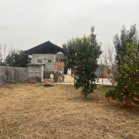 شمال سیمرغ کیاکلا|فروش خانه و ویلا|قائمشهر, |دیوار