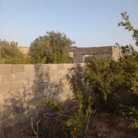 باغچه-چهاردیواری