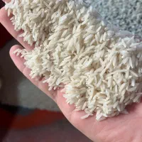 برنج هاشمی و دم زرد