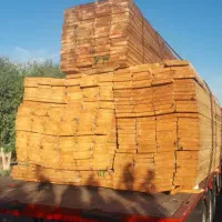 دفتر پخش انواع زیرپایی تخته روسی بنایی Woodgood