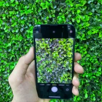 Iphone 13 / آیفون ۱۳ نرمال بدون هیچ خطو خشی ۱۲۸|موبایل|تهران, میرداماد|دیوار