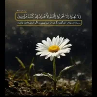 کارت ملی گم کردم