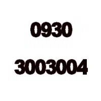 ۰۹۳۰.۳۰۰.۳۰۰.۴