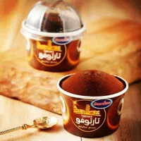 پخش مویرگی بستنی (دومینو ،دایتی،پاک)