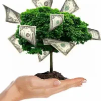 سرمایه گذار هستم مشورت و همکاری کنید