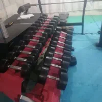 باشگاه بدنسازی