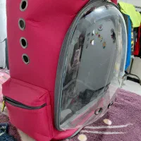 لوازم پت|لوازم جانبی حیوانات|فردیس, شهرک ناز|دیوار