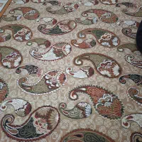 گلیم|گلیم، جاجیم، گبه|بجنورد, |دیوار