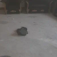 مبل ۷ نفره فروش فوری