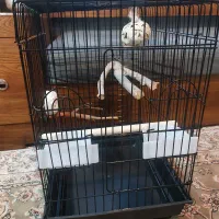 قفس|لوازم جانبی حیوانات|ملارد, |دیوار