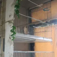 ۷ عدد قفس پرنده