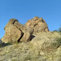 تور لیدری