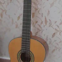 گیتار نوی نو