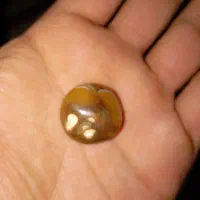 نگین مهره وهبهاب