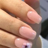 بهترین ها را از ما بخواهید