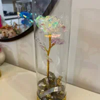 باکس شیشه ای گل رز جاودان روز مادر|گل مصنوعی|کرج, باغستان|دیوار