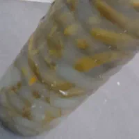 خیارشور اصیل همدان