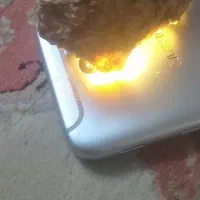 سنگ های زیبا و قیمتی