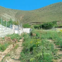 ۲۶۵ متر روستای واصفجان