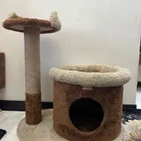 اسکچر گربه خانه لونه گربه