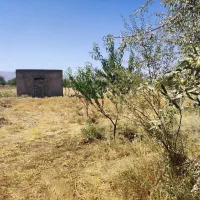 فروش باغ گردو و بادام وانگور در روستای سیمین زاغه|فروش زمین و ملک کلنگی|بهار, |دیوار