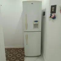 یخچال فریزر الکترو استیل