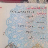 شناسنامه وکارت ملی گم کردم