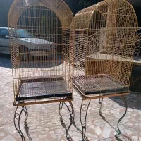 قفس حرفه ای