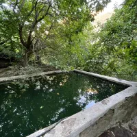 باغ رویایی رودخانه دار تهران(رندان)/سرمایهگذاری|فروش زمین و ملک کلنگی|کن, |دیوار